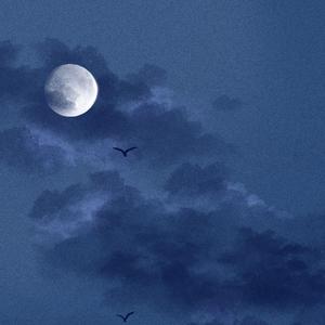 被cao开了上瘾了老想要
